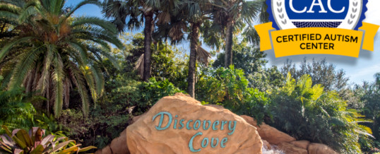 Discovery Cove Officially a Certified Autism Center