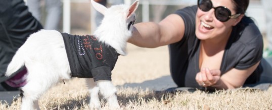 Arizona Goat Yoga is the First Yoga Company to Become a Certified Autism Center™