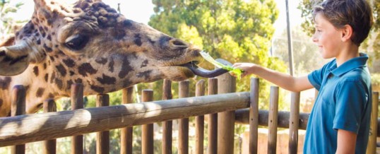 The Santa Barbara Zoo Expands Upon Its Certified Autism Center™ Designation