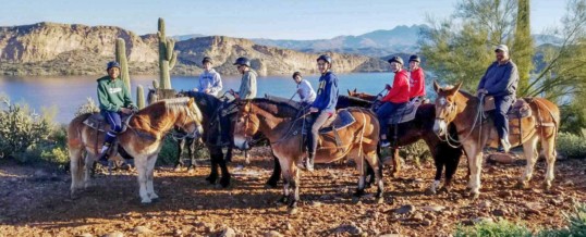 Saguaro Lake Guest Ranch Is Now A Certified Autism Center™