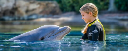 Discovery Cove® Celebrates April as Autism Acceptance Month with Renewed Autism Center Certification