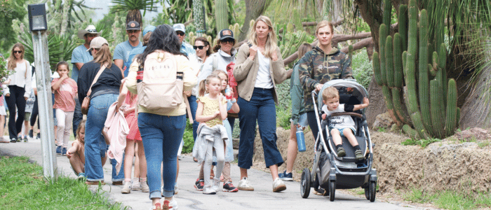 Santa Barbara Zoo (2) A diverse group of people, including adults and children, walking along a paved path with greenery and cacti on one side.