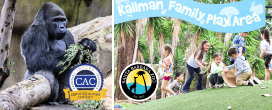 Santa Barbara Zoo Renews Certified Autism Center™ Designation, Reinforcing Commitment to Inclusive Experiences for All
